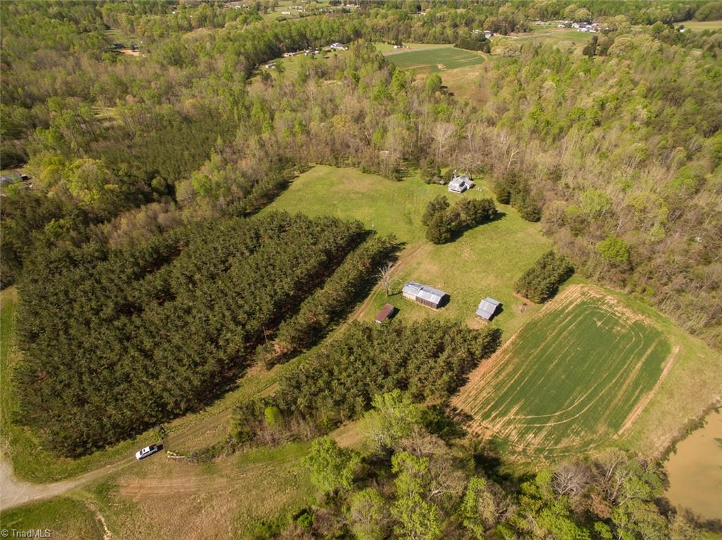 561 Strader Road Ruffin, NC 27326 - Photo 9 of 31 Gallery Image 9
