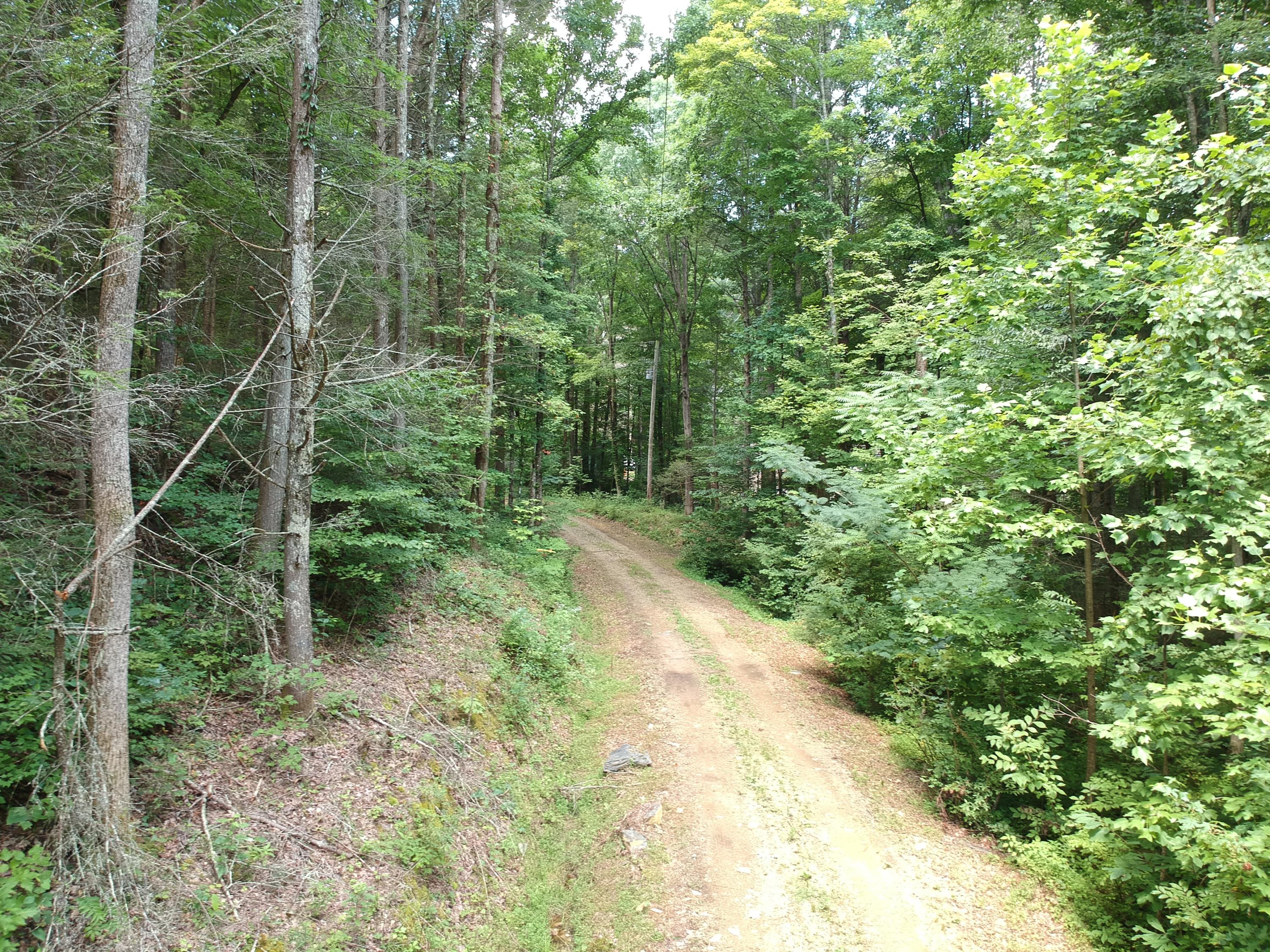 1641 Old Chilhowee Road Seymour, TN 37865 - Photo 1 of 31 DJI_0566