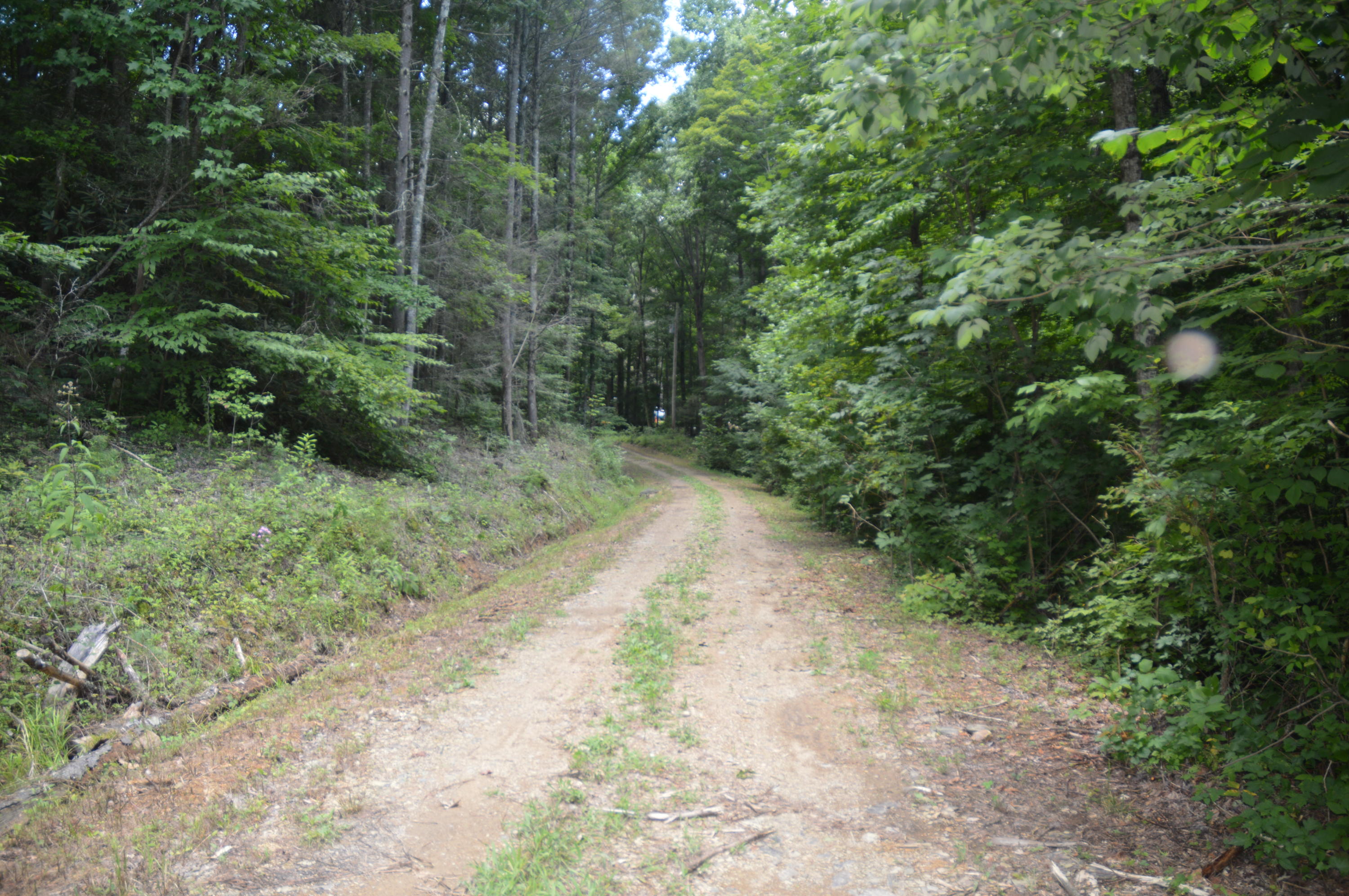1641 Old Chilhowee Road Seymour, TN 37865 - Photo 11 of 31 Old Chilhowee - DSC_0628