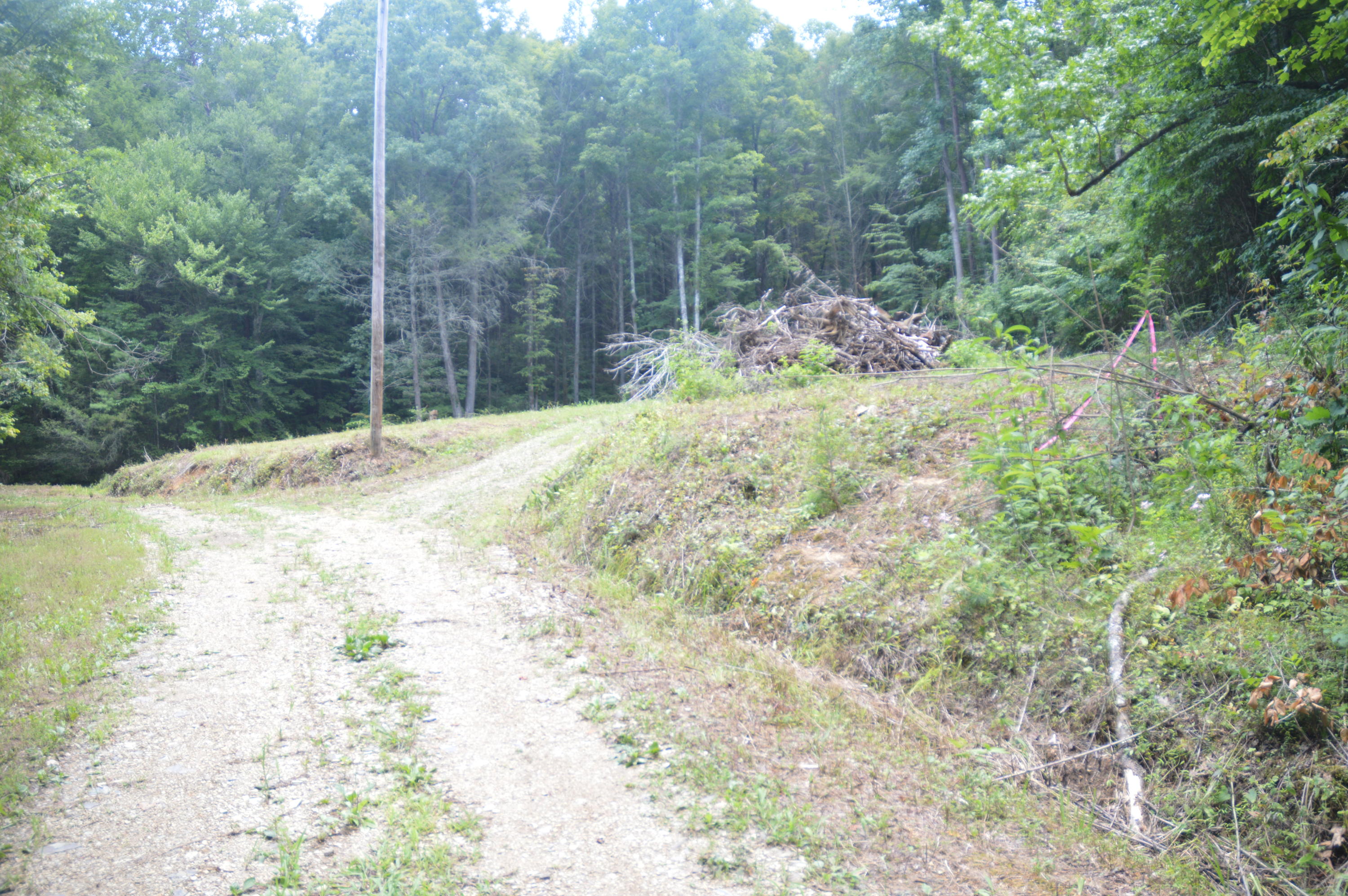 1641 Old Chilhowee Road Seymour, TN 37865 - Photo 12 of 31 Old Chilhowee - DSC_0629