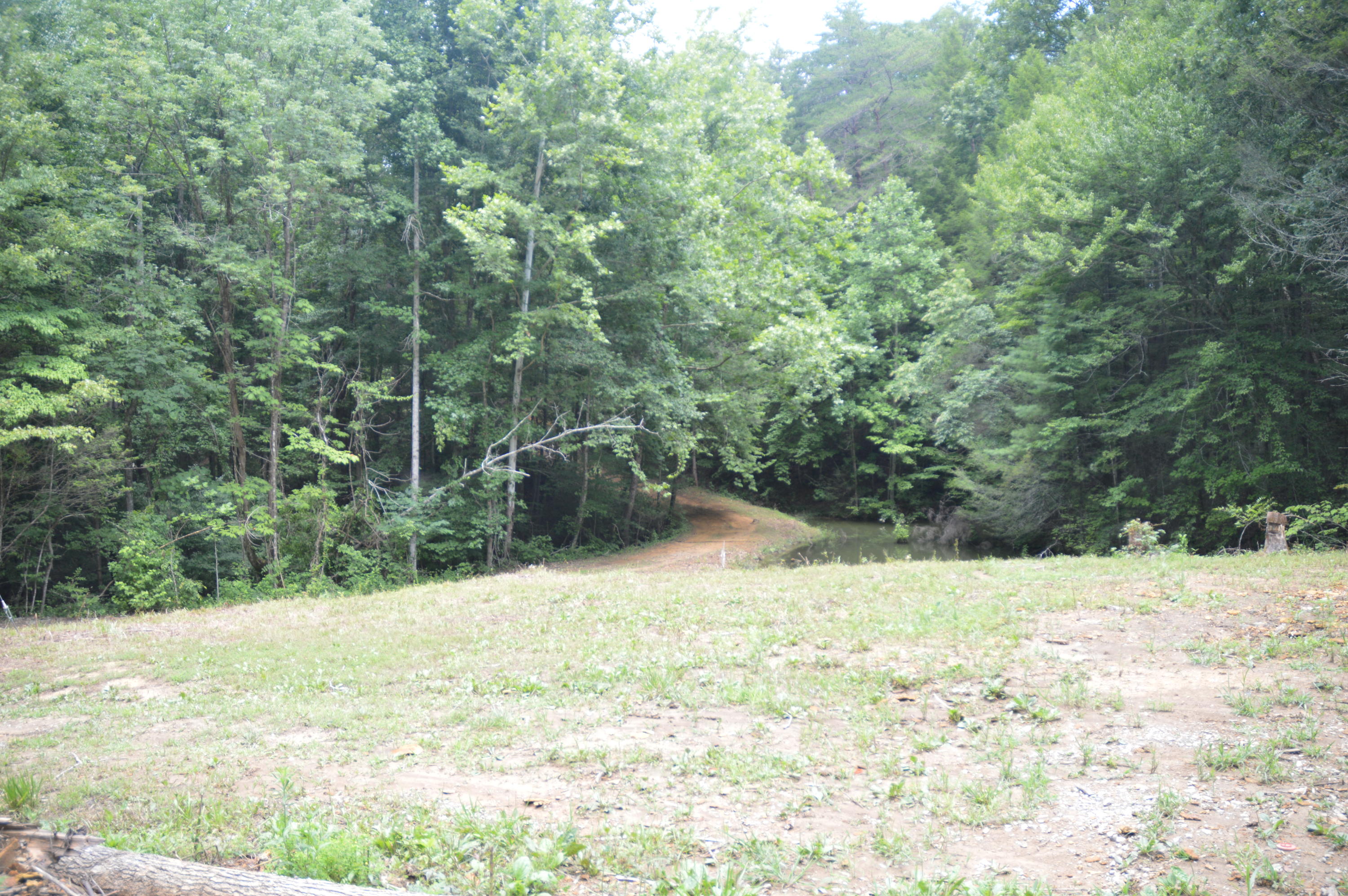 1641 Old Chilhowee Road Seymour, TN 37865 - Photo 14 of 31 Old Chilhowee - DSC_0631