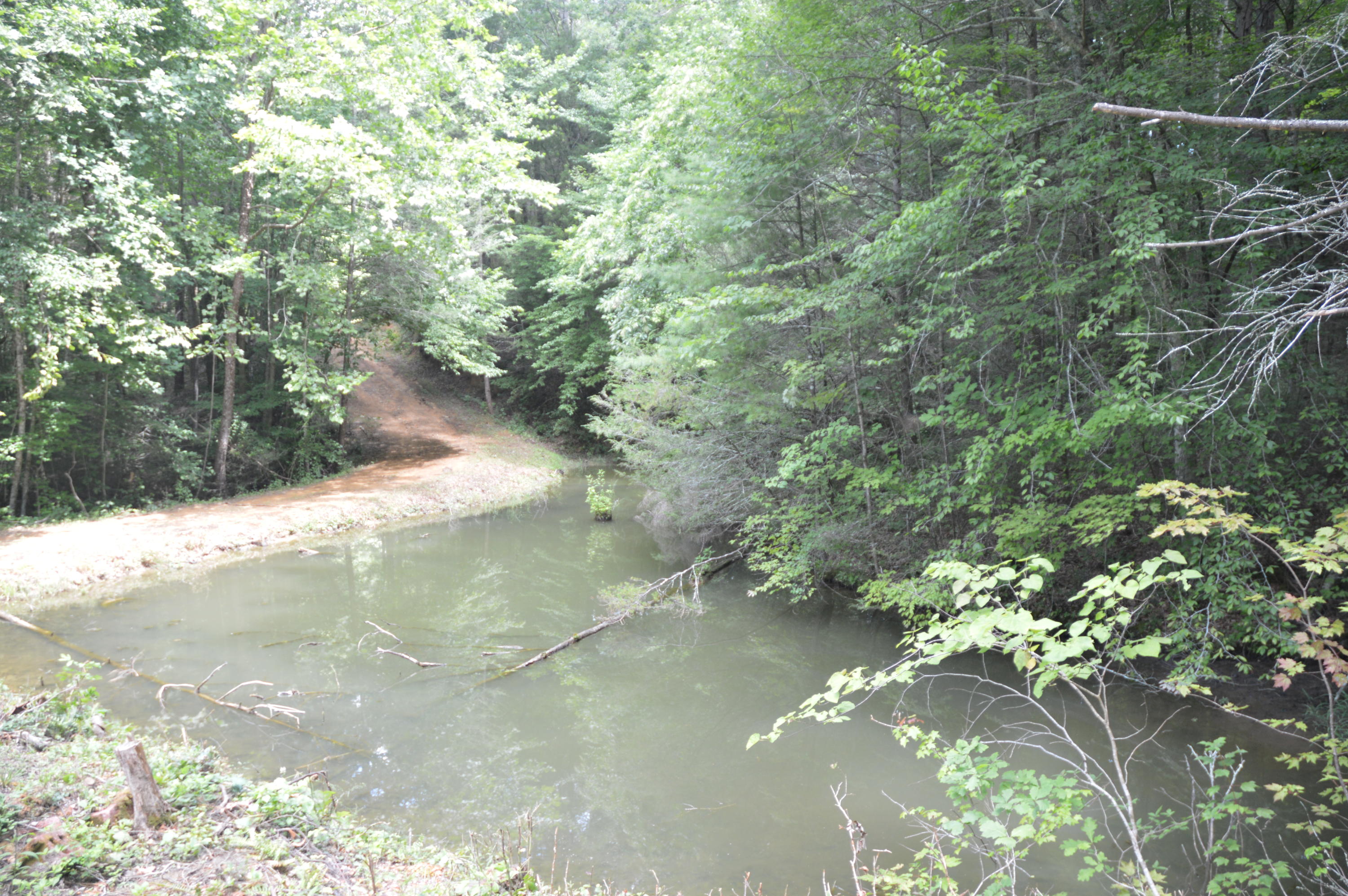 1641 Old Chilhowee Road Seymour, TN 37865 - Photo 16 of 31 Old Chilhowee - DSC_0633