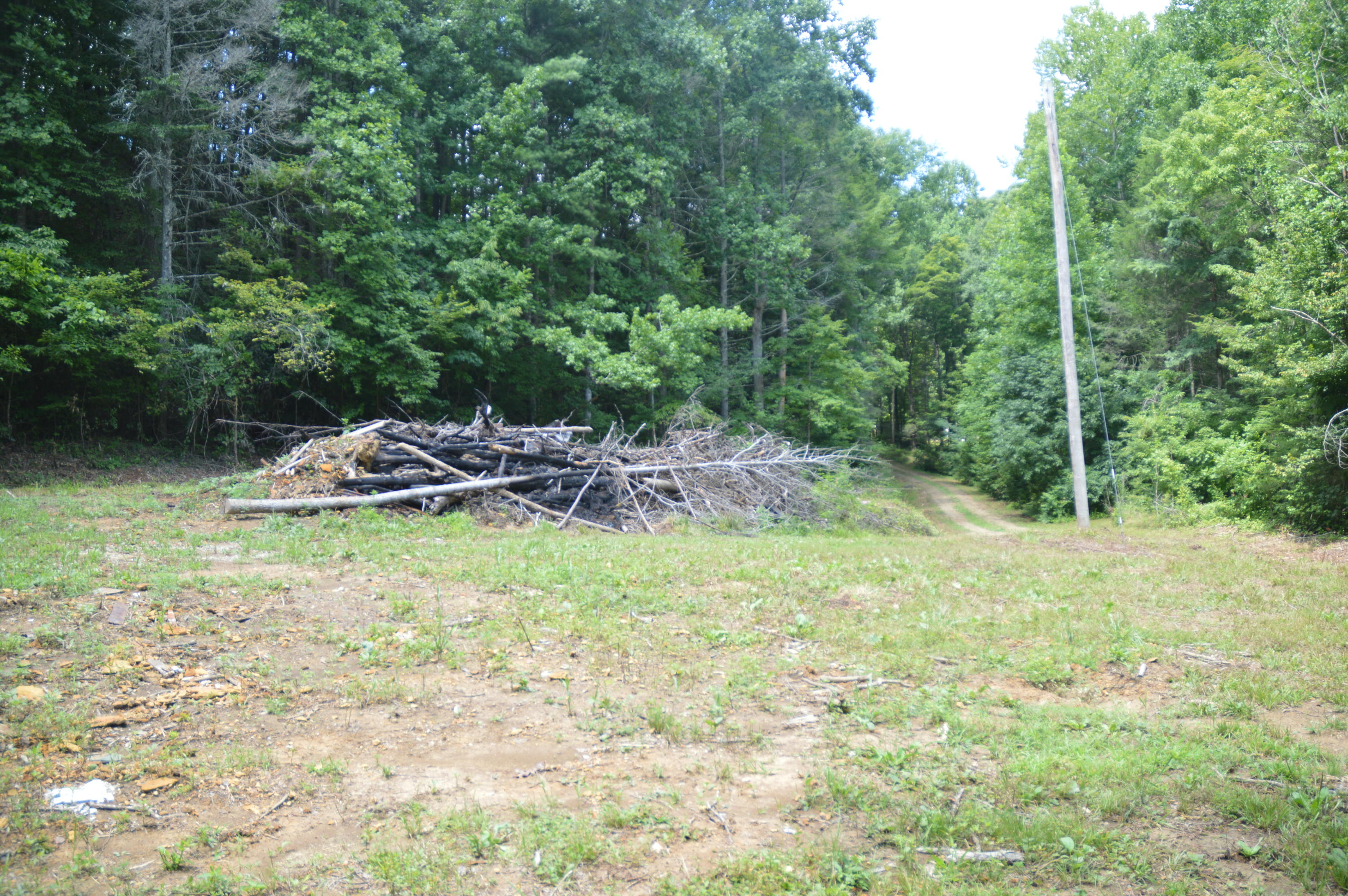 1641 Old Chilhowee Road Seymour, TN 37865 - Photo 18 of 31 Old Chilhowee - DSC_0635