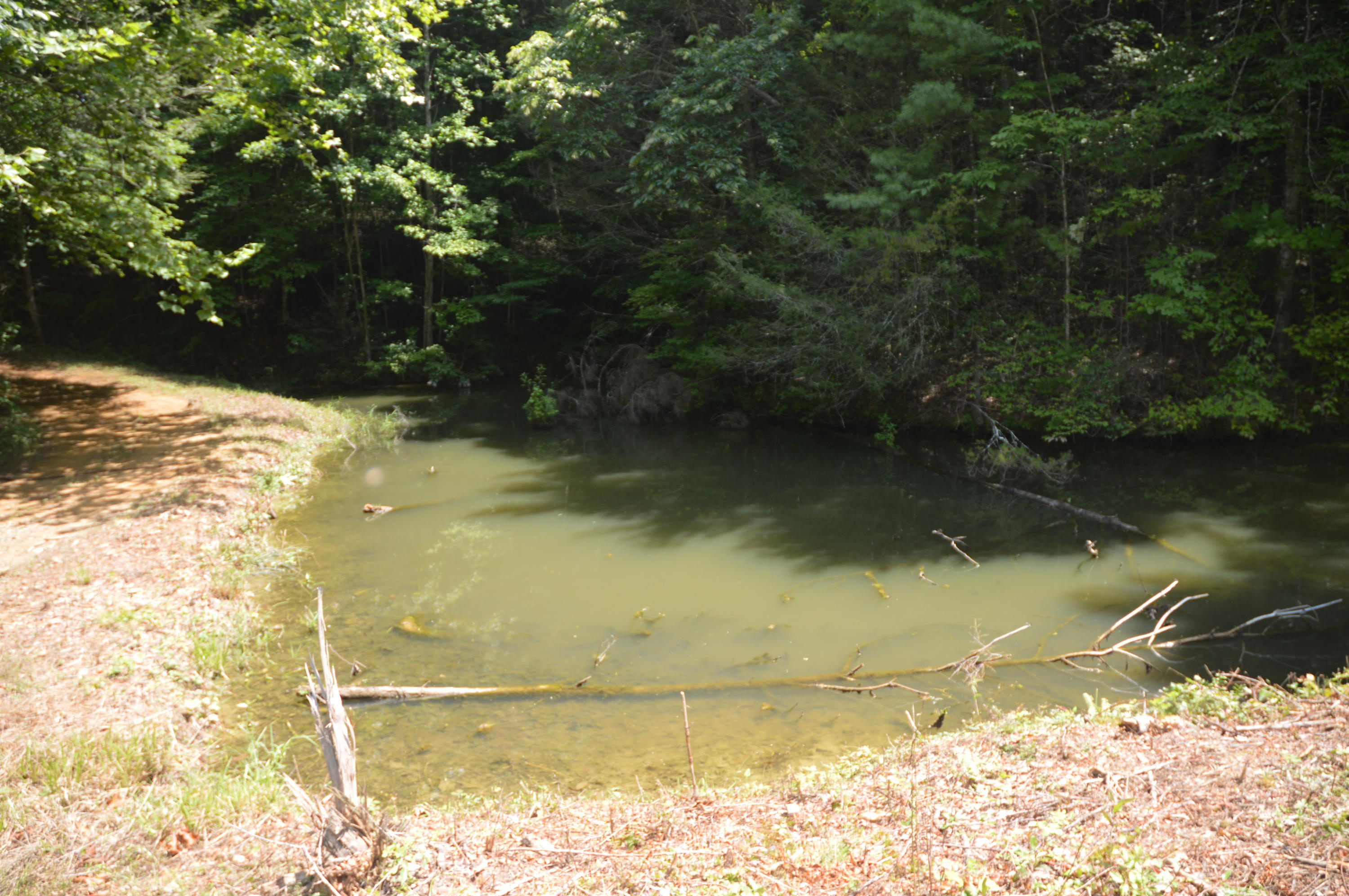 1641 Old Chilhowee Road Seymour, TN 37865 - Photo 19 of 31 Old Chilhowee - DSC_0636