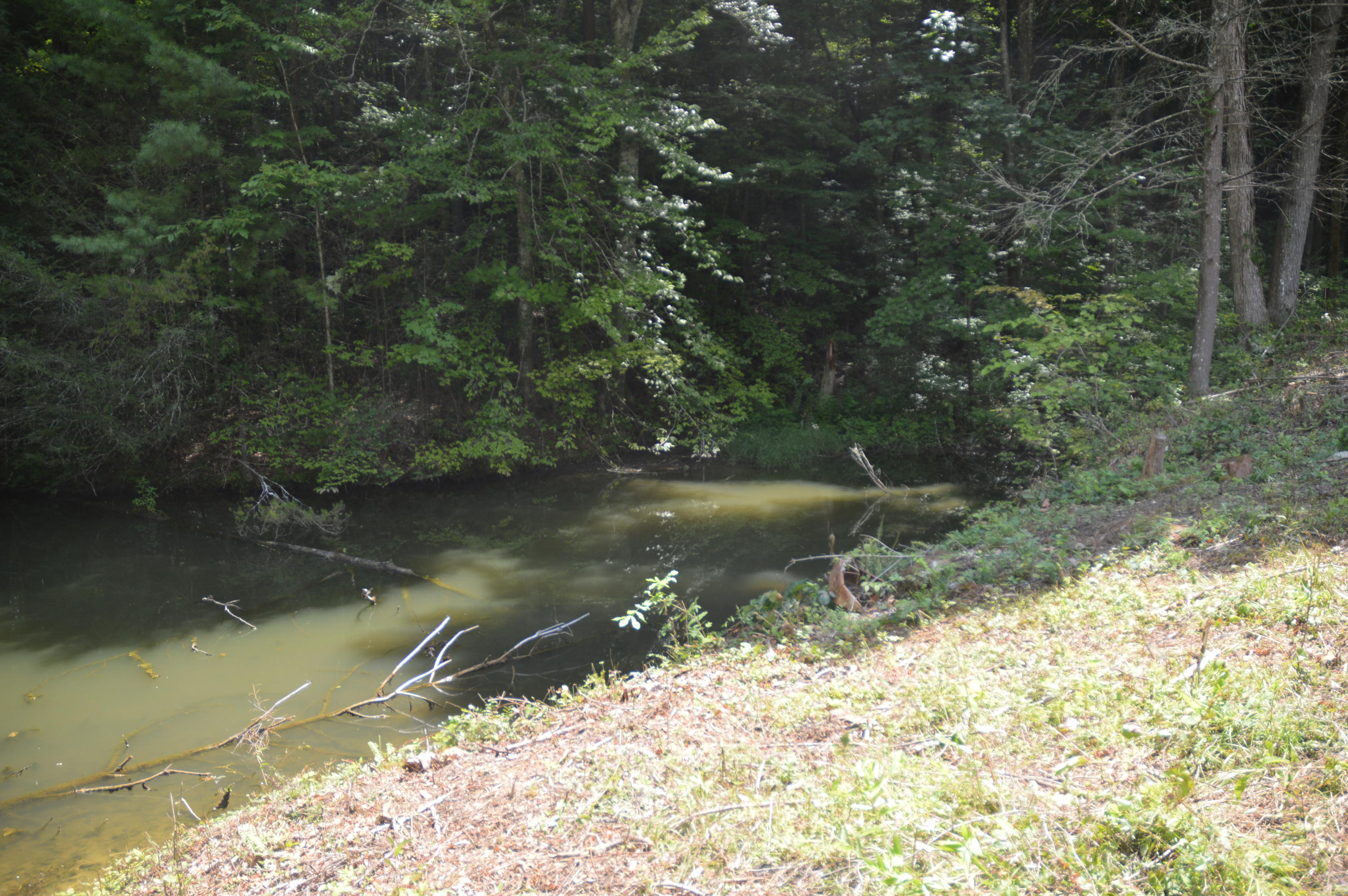 1641 Old Chilhowee Road Seymour, TN 37865 - Photo 20 of 31 Old Chilhowee - DSC_0637
