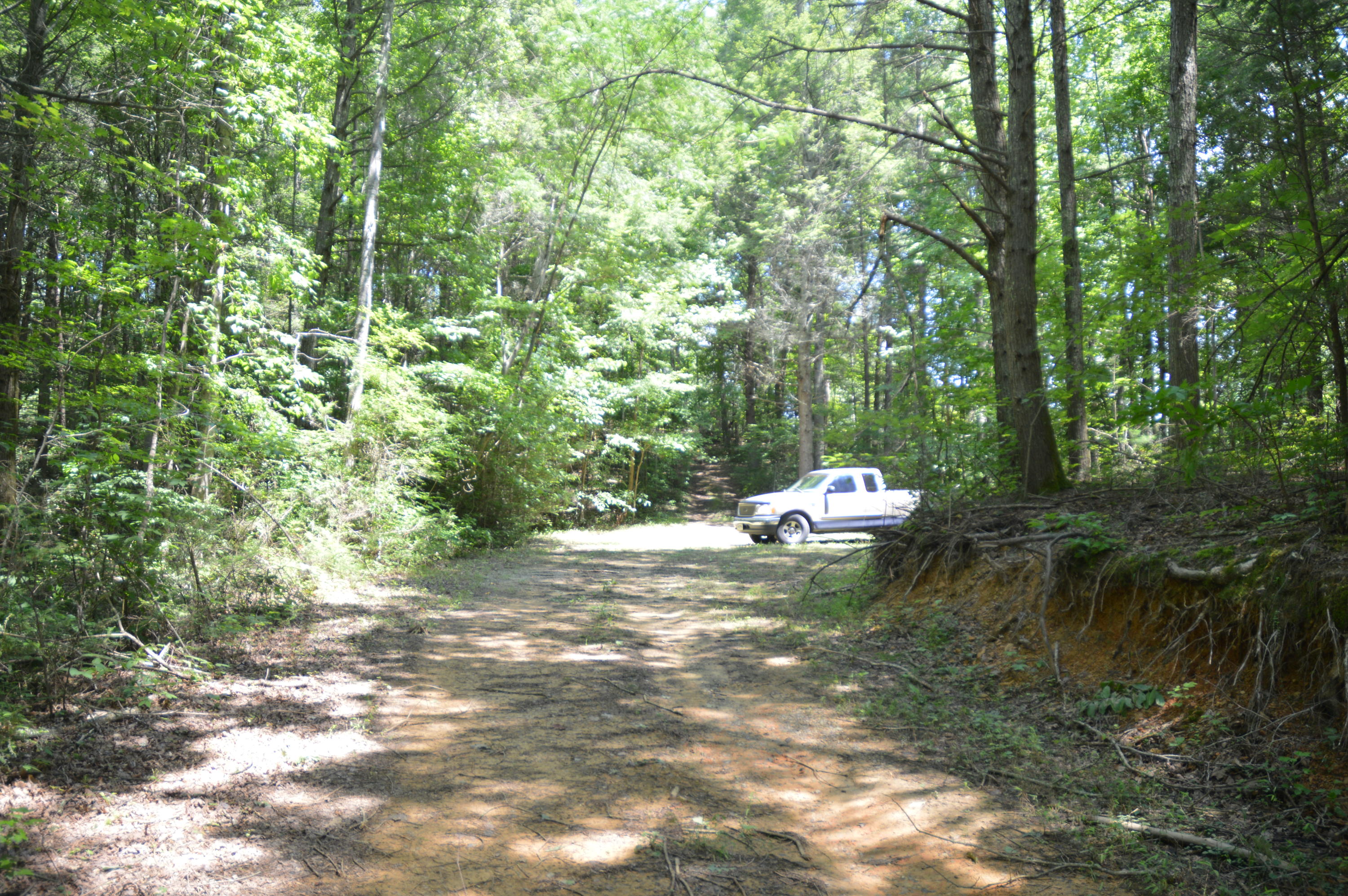 1641 Old Chilhowee Road Seymour, TN 37865 - Photo 23 of 31 Old Chilhowee - DSC_0640