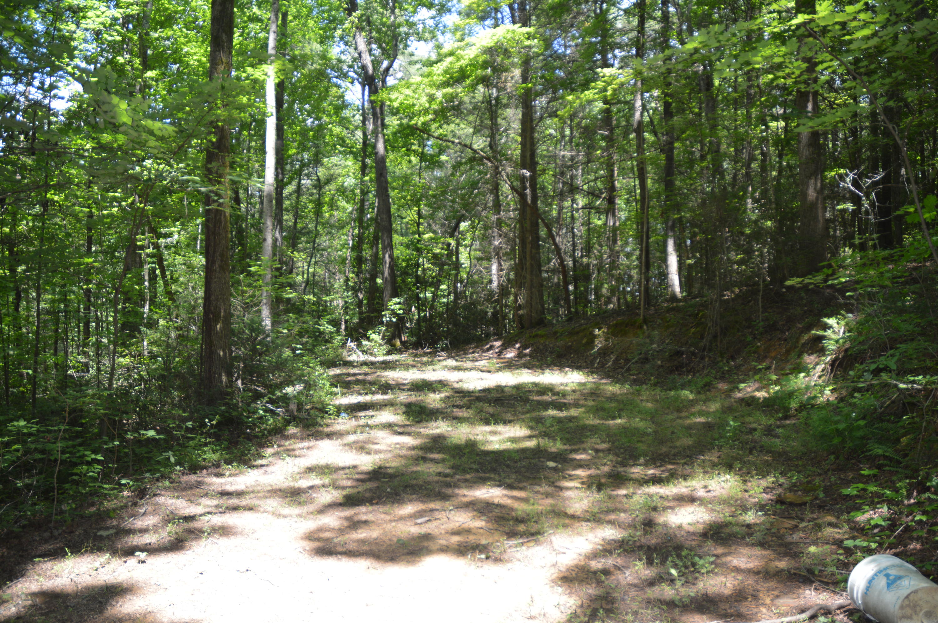 1641 Old Chilhowee Road Seymour, TN 37865 - Photo 29 of 31 Old Chilhowee - DSC_0646
