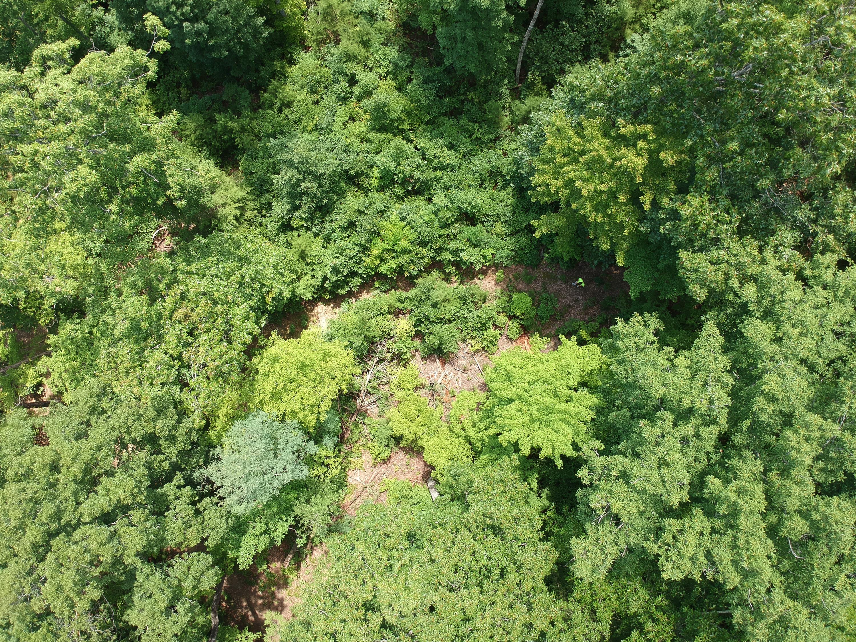 1641 Old Chilhowee Road Seymour, TN 37865 - Photo 6 of 31 DJI_0579