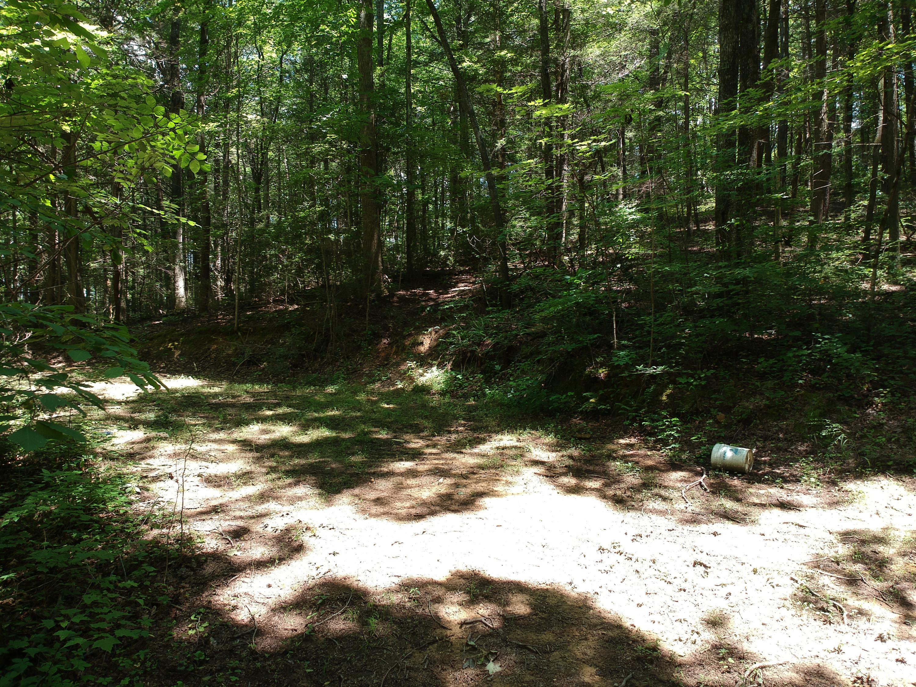 1641 Old Chilhowee Road Seymour, TN 37865 - Photo 8 of 31 DJI_0583