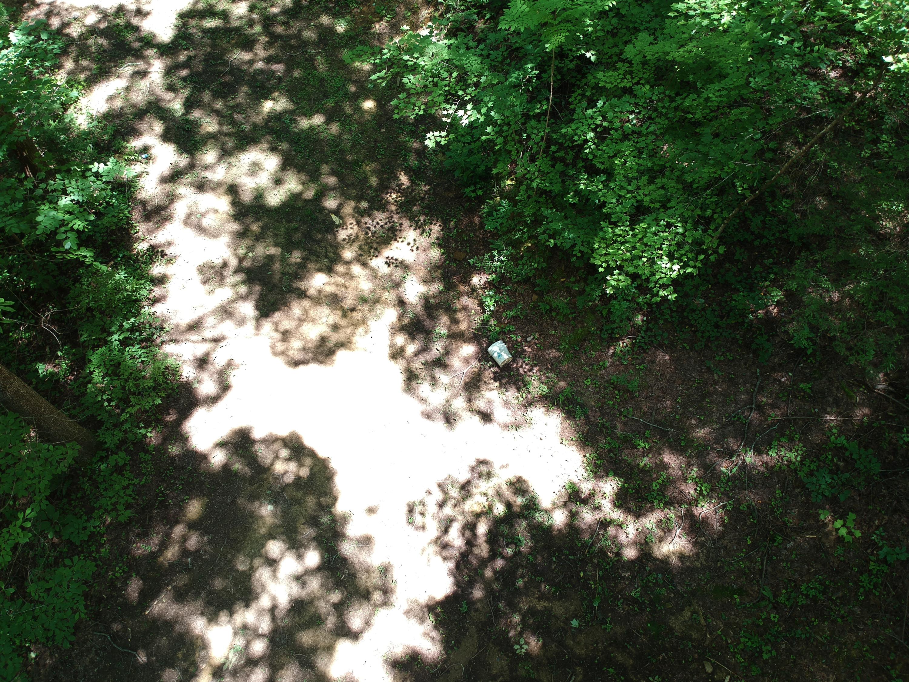 1641 Old Chilhowee Road Seymour, TN 37865 - Photo 9 of 31 DJI_0584