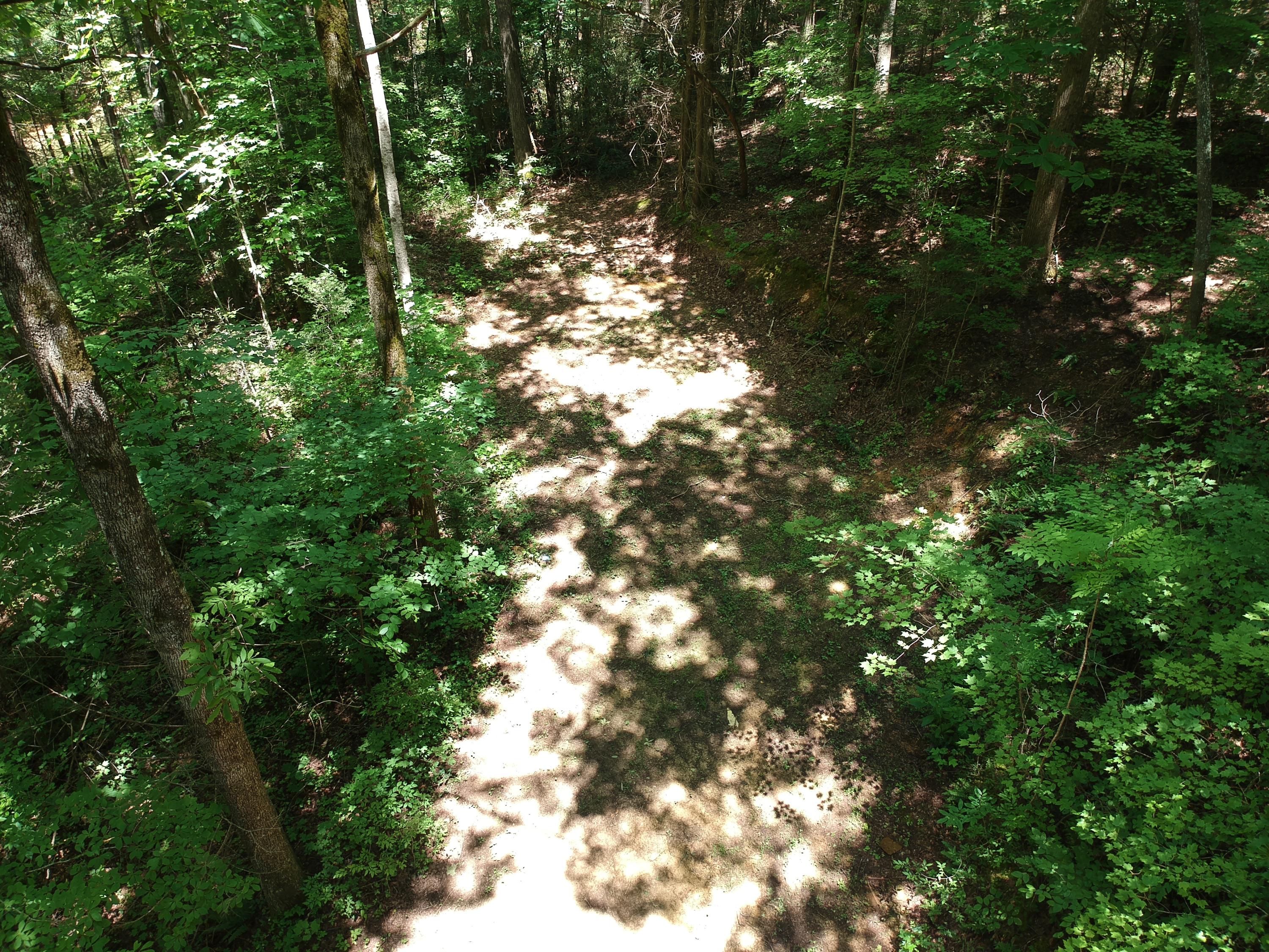 1641 Old Chilhowee Road Seymour, TN 37865 - Photo 10 of 31 DJI_0585