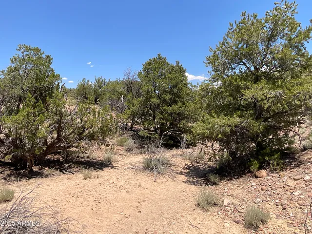 a view of a yard covered with snow