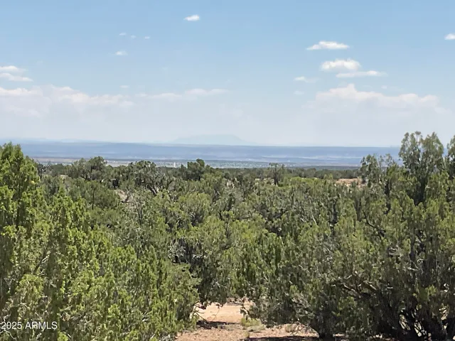 view of a field of grass and trees