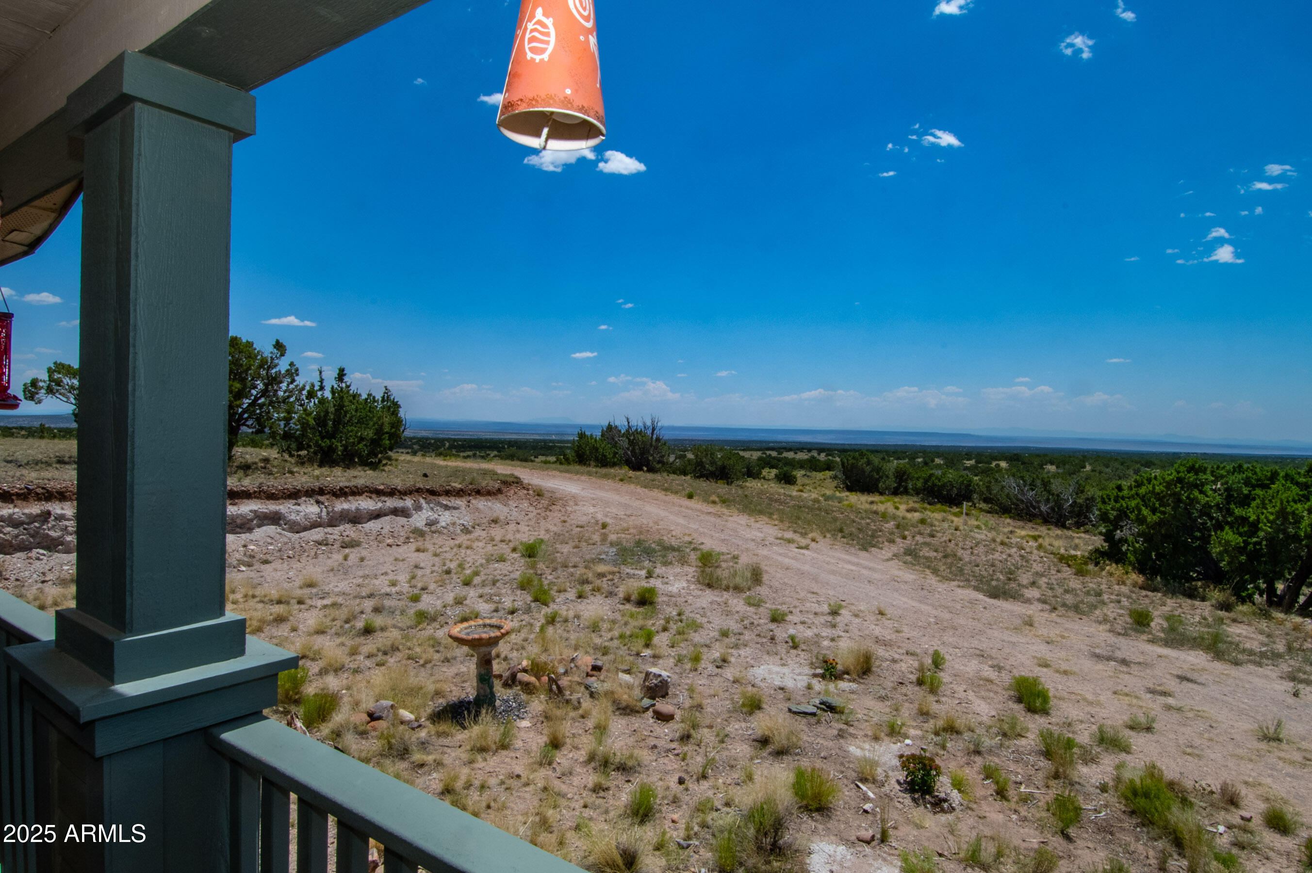 61 County Rd N6379 St. Johns, AZ 85936 - Photo 6 of 33 a view of outside space and yard
