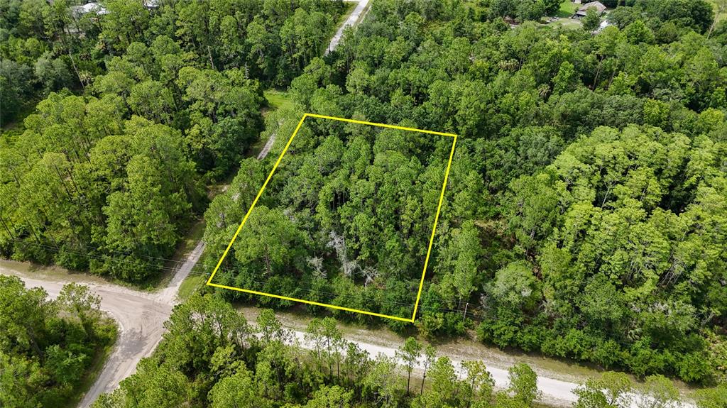 5446 Mango Avenue Bunnell, FL 32110 - Photo 5 of 17