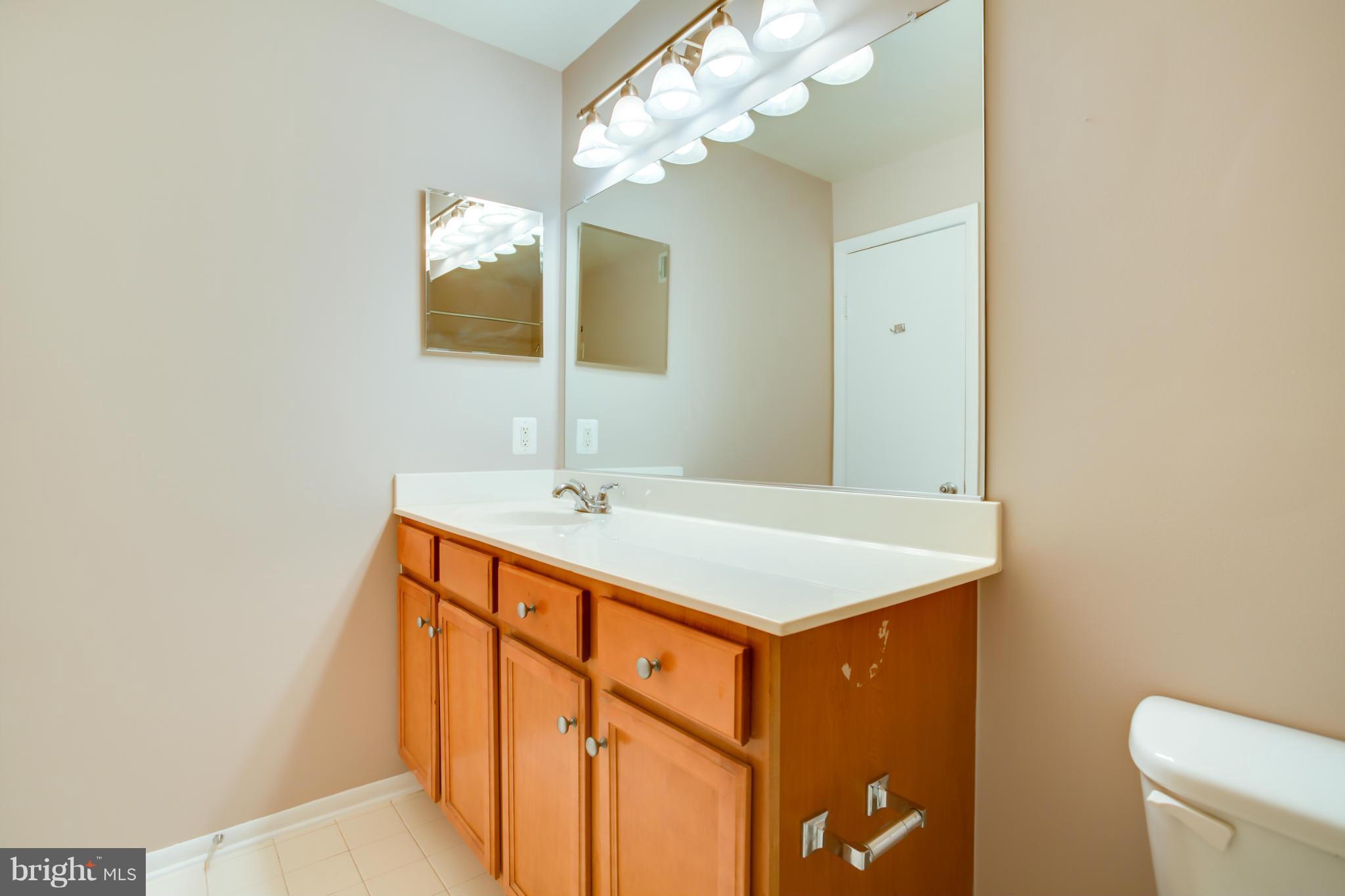 1703 Ascot Way, Unit K Reston, VA 20190 - Photo 13 of 28 Master Bath View #2