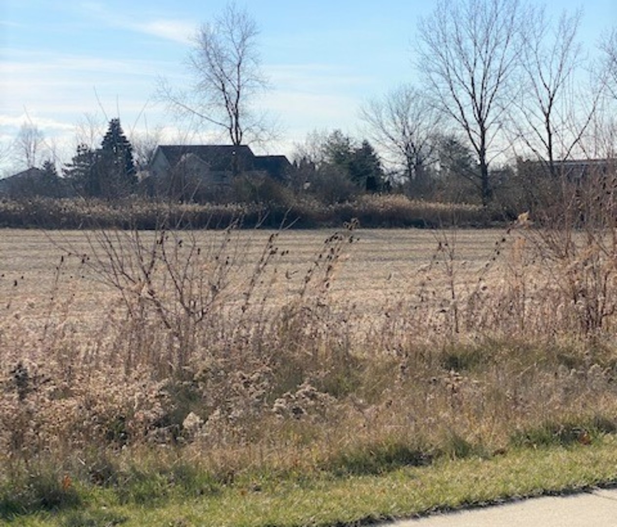 15355 West 159th Street Lockport, IL 60491 - Photo 2 of 6