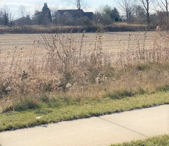 $595,000 | 15355 West 159th Street, Lockport, IL 60491