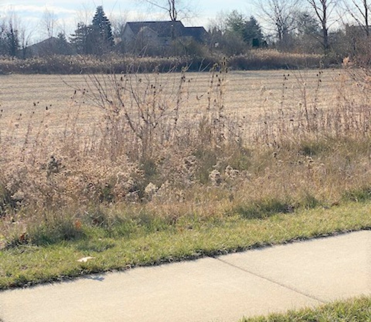 15355 West 159th Street Lockport, IL 60491 - Photo 3 of 6