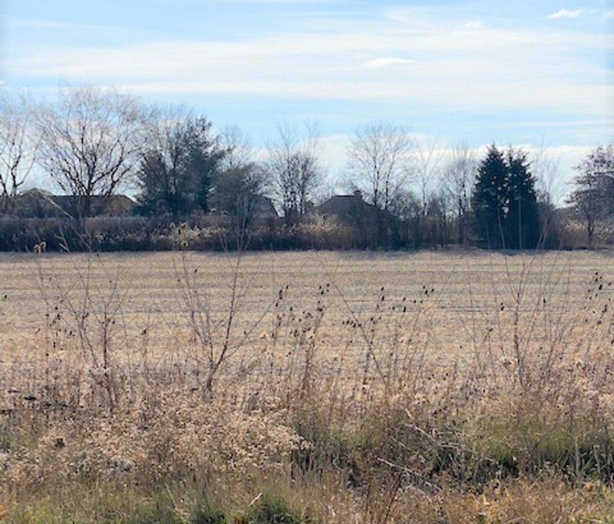 15355 West 159th Street Lockport, IL 60491 - Photo 4 of 6