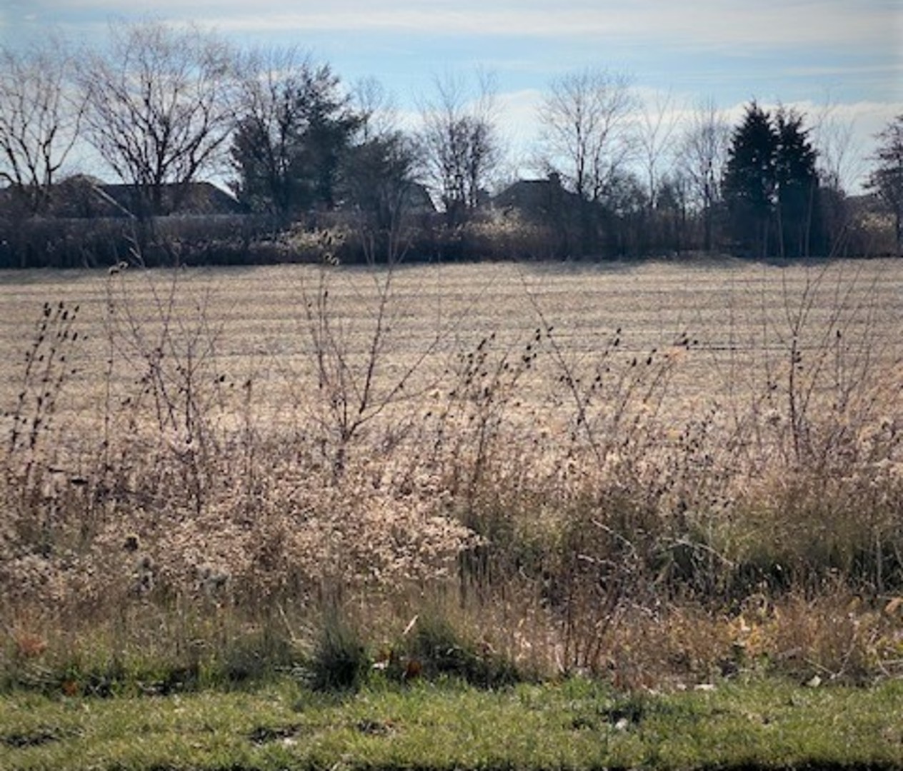 15355 West 159th Street Lockport, IL 60491 - Photo 5 of 6