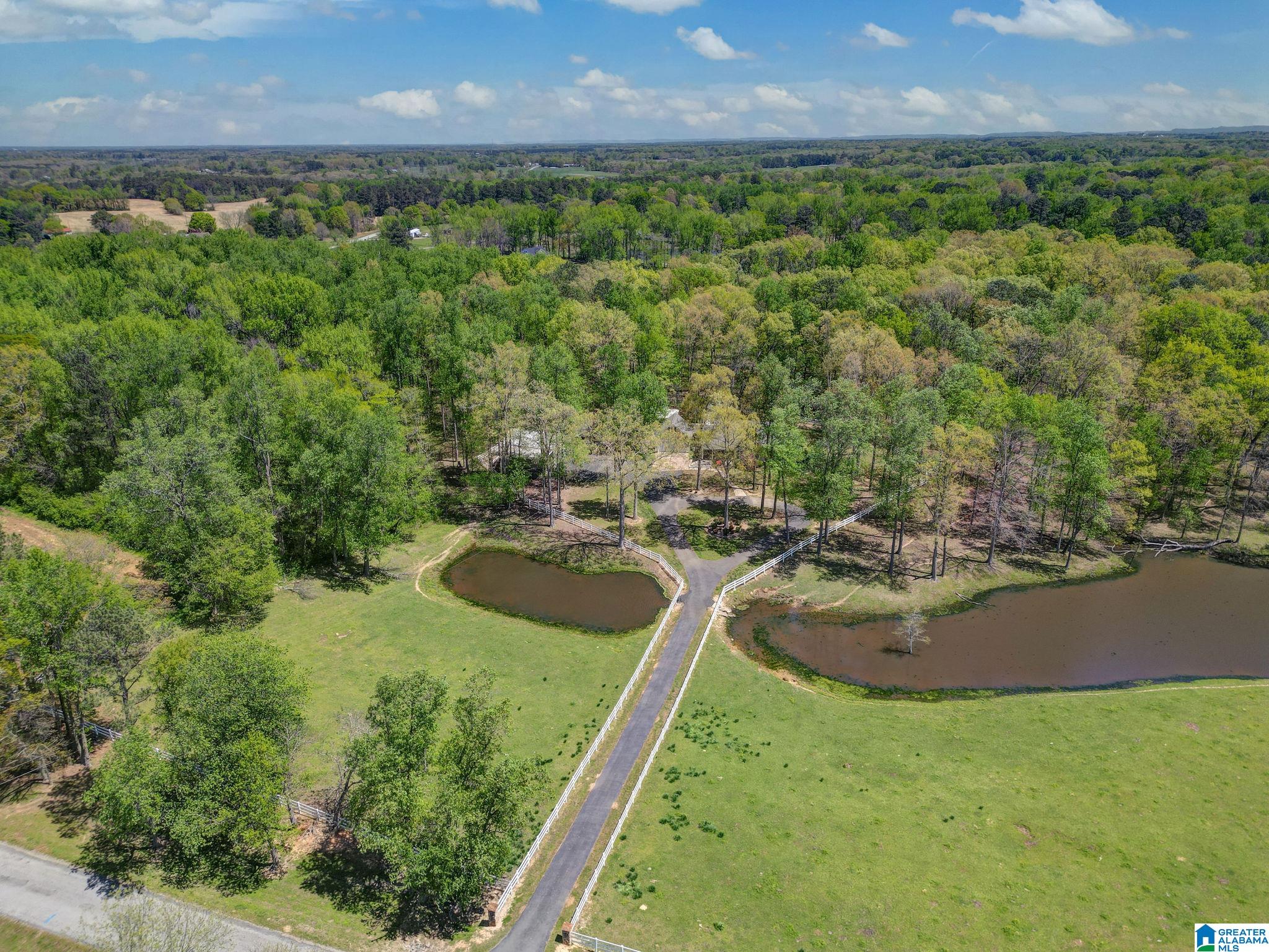 253 County Road 203 Boaz, AL 35957 - Photo 49 of 59
