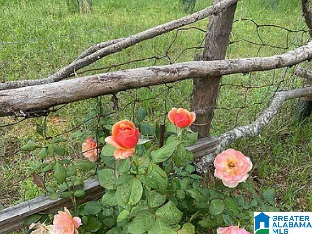 237 Marion Stough Road Fayette, AL 35555 - Photo 53 of 59
