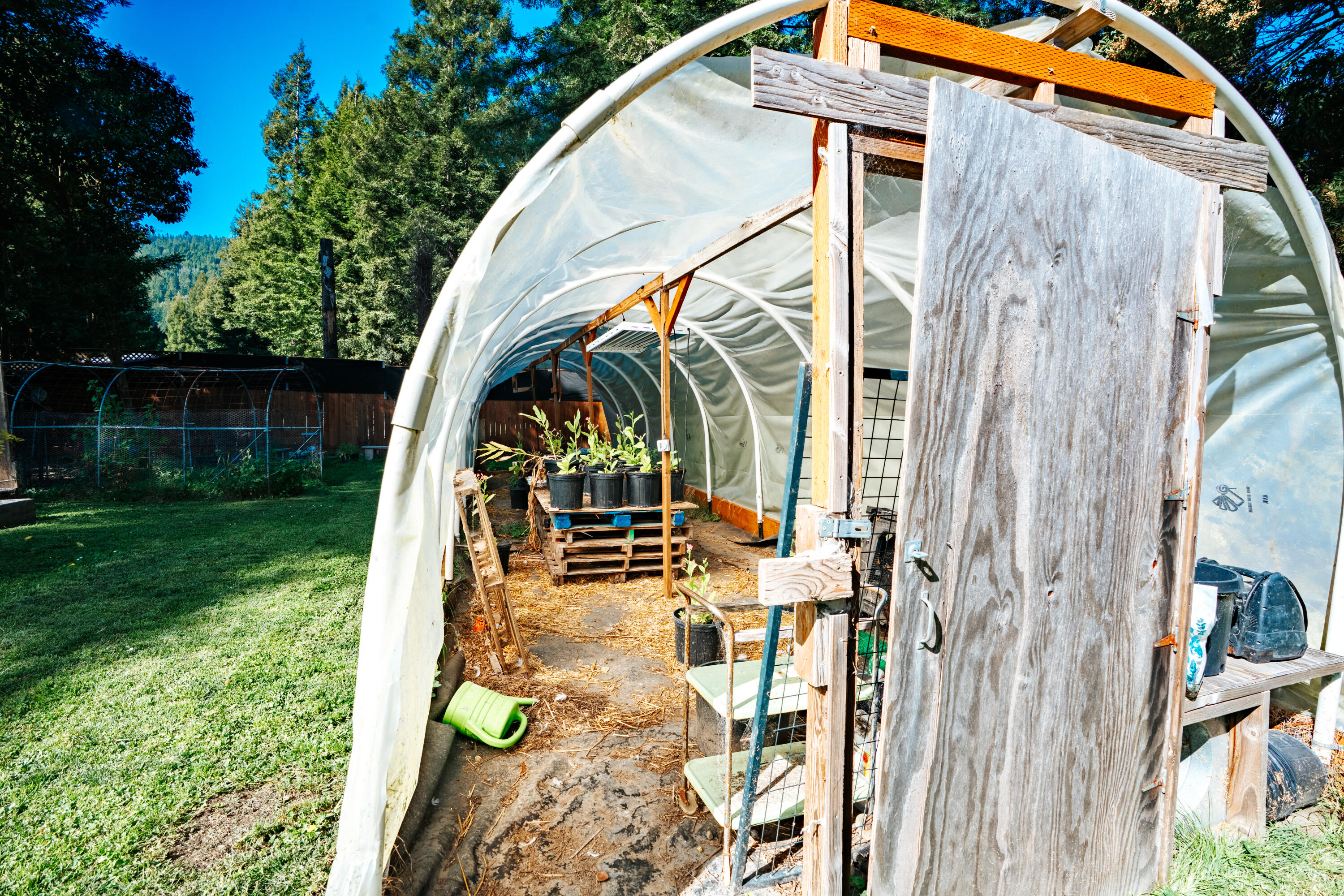 421 N Road Scotia, CA 95565 - Photo 46 of 56