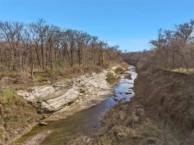 a view of a yard with trees in the background