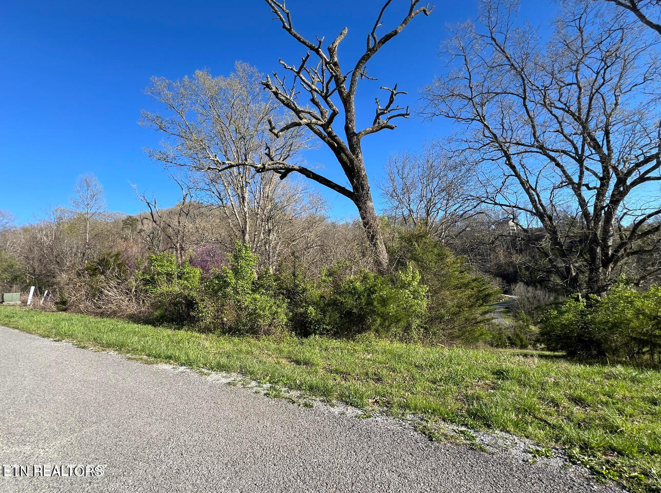 Lot 356 Larayne Hollow Road Sharps Chapel, TN 37866 - Photo 5 of 7 IMG_2820