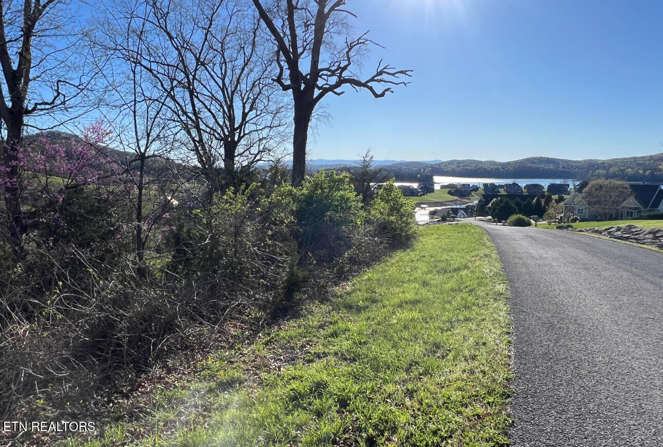 Lot 356 Larayne Hollow Road Sharps Chapel, TN 37866 - Photo 6 of 7 IMG_2818