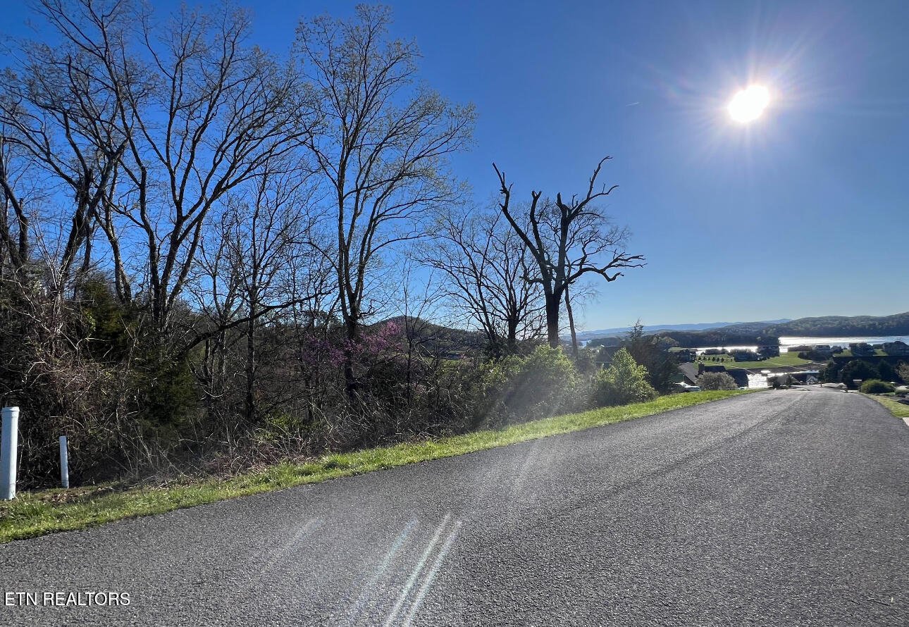Lot 356 Larayne Hollow Road Sharps Chapel, TN 37866 - Photo 7 of 7 IMG_2817