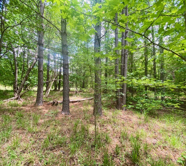 0 Pete Johnson Road Tignall, GA 30668 - Photo 41 of 43