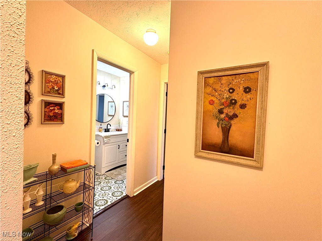 4015 Marks Road, Unit 3C Medina, OH 44256 - Photo 13 of 36 Hallway with a textured ceiling, dark hardwood / wood-style floors, and sink