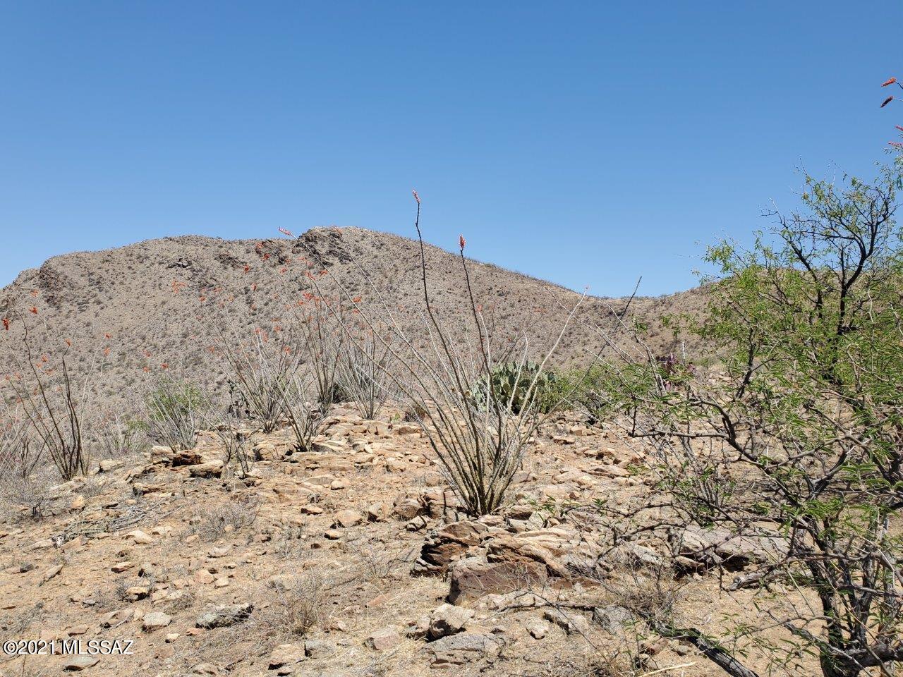 1695 Vía San Cayetano, Unit 7 Rio Rico, AZ 85648 - Photo 27 of 36