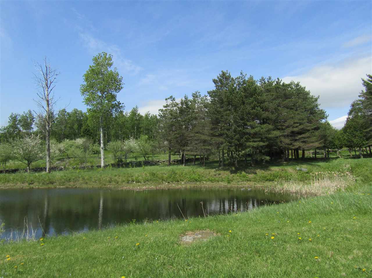692 Bungy Road Columbia, NH 03576 - Photo 9 of 38