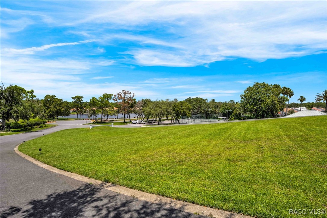 10148 Duffy Circle Weeki Wachee, FL 34613 - Photo 2 of 75