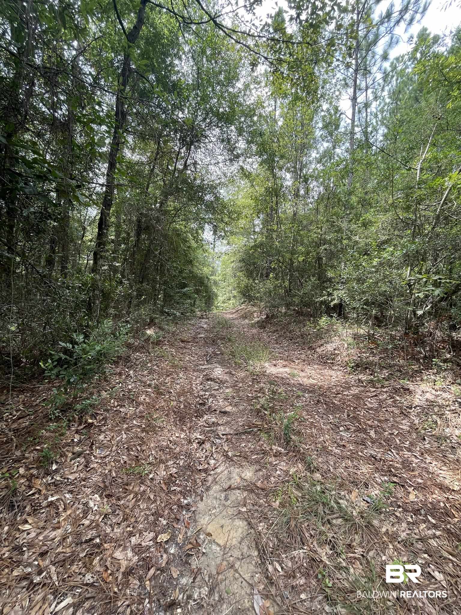 0 County Road 11 Wing, AL 36483 - Photo 27 of 37