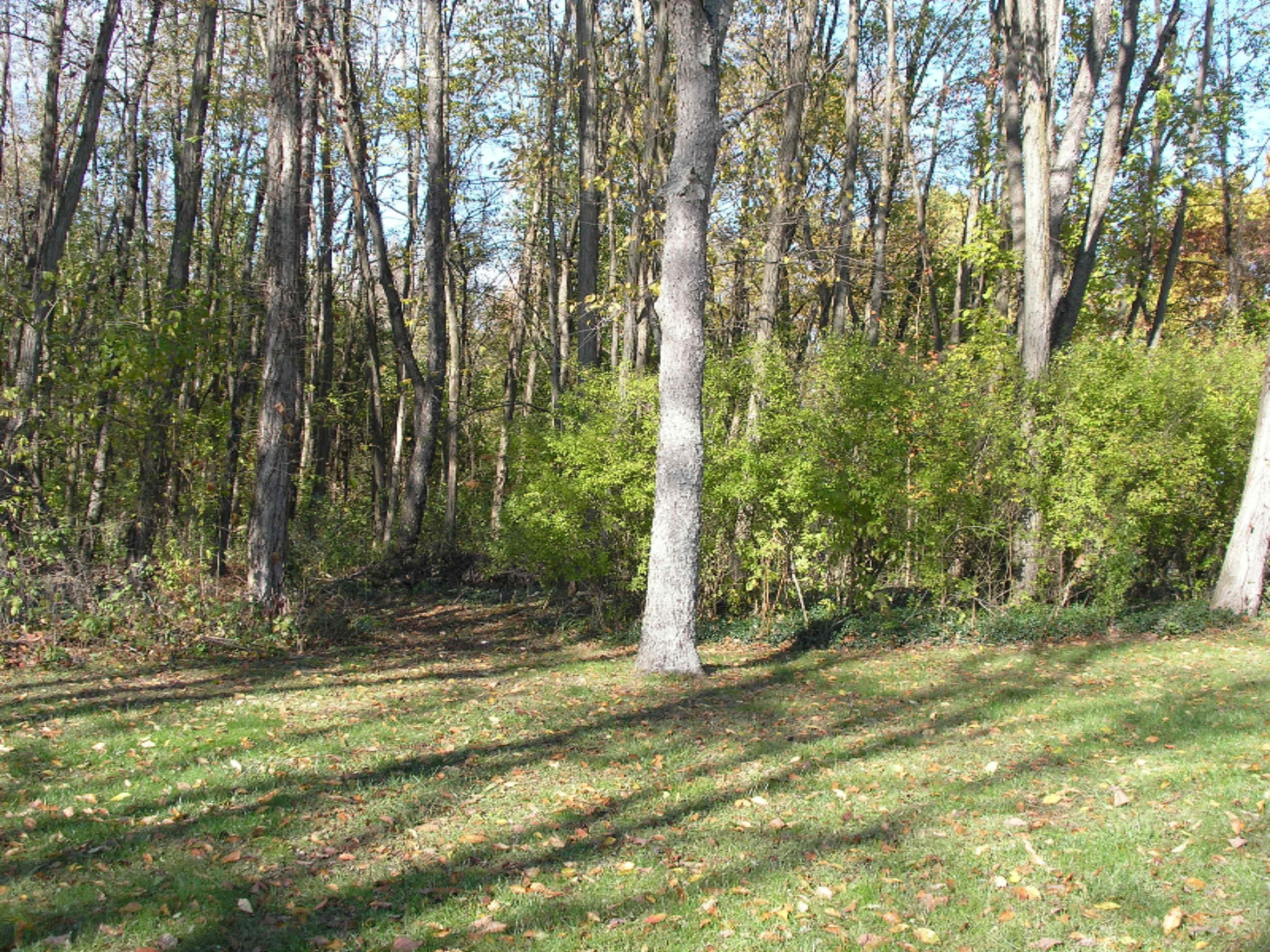 19520 Highway 60 Three Rivers, MI 49093 - Photo 18 of 22 19520 M 60 032
