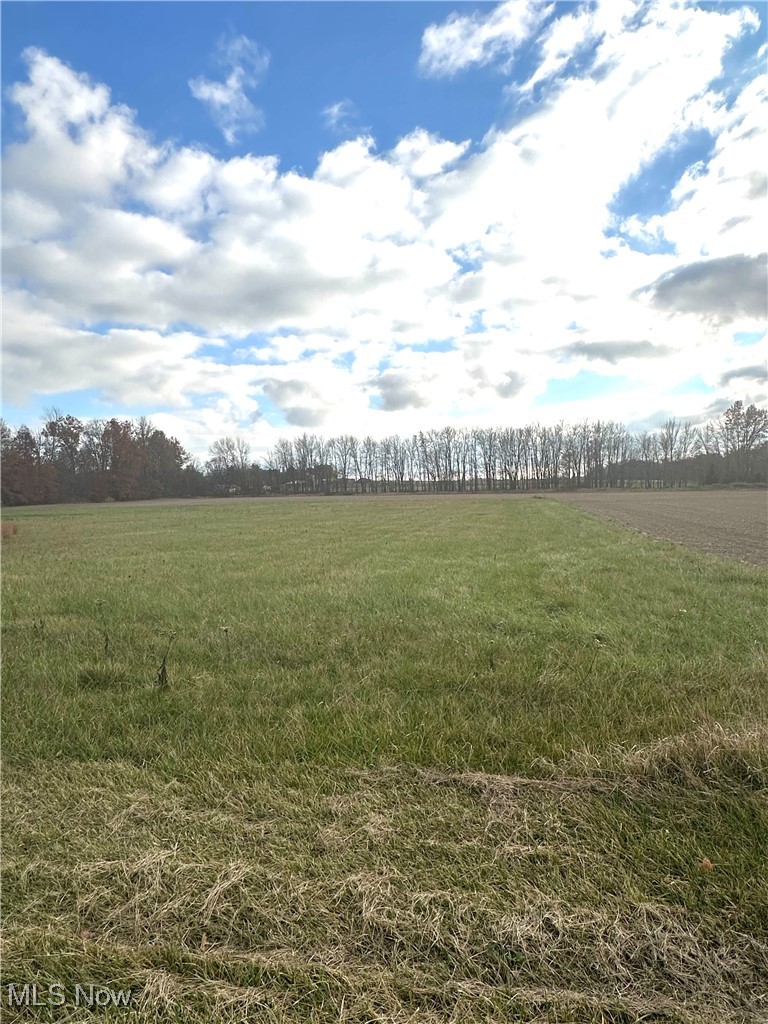Fox Lake Road Sterling, OH 44276 - Photo 1 of 6 View of nature featuring a rural view