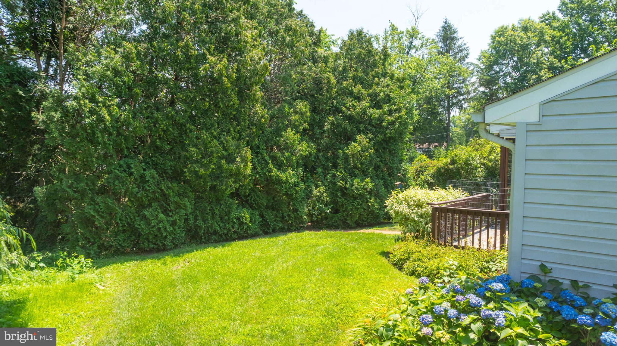 121 Decker Drive Newark, DE 19711 - Photo 37 of 57 a view of a backyard with plants