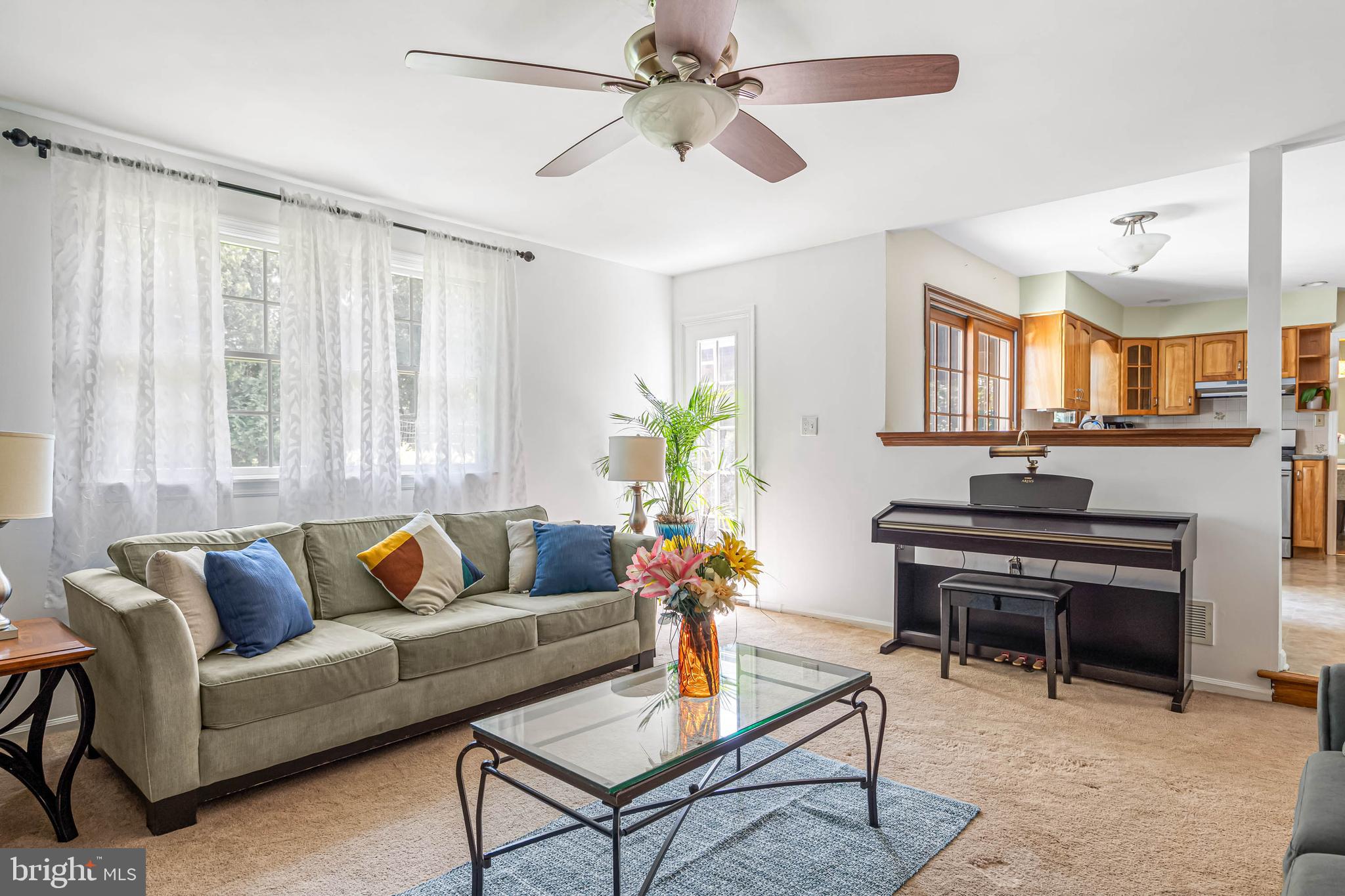 121 Decker Drive Newark, DE 19711 - Photo 9 of 57 a living room with furniture and a potted plant