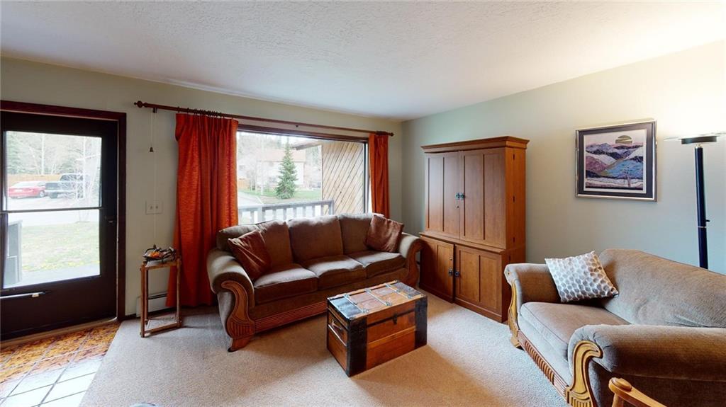 393 Big Elk Road Dillon, CO 80435 - Photo 5 of 21 Gallery Image 5