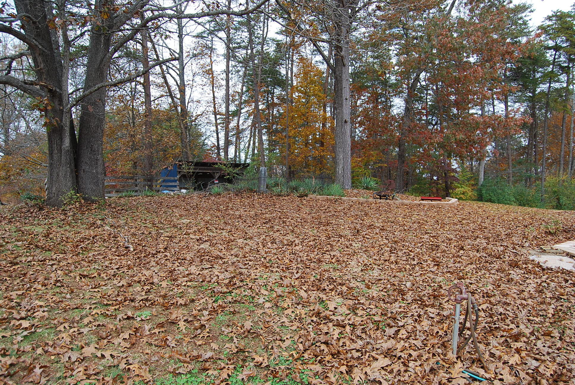1019 Doe Mountain Road Goodview, VA 24095 - Photo 13 of 53 a backyard of a house with lots of green space