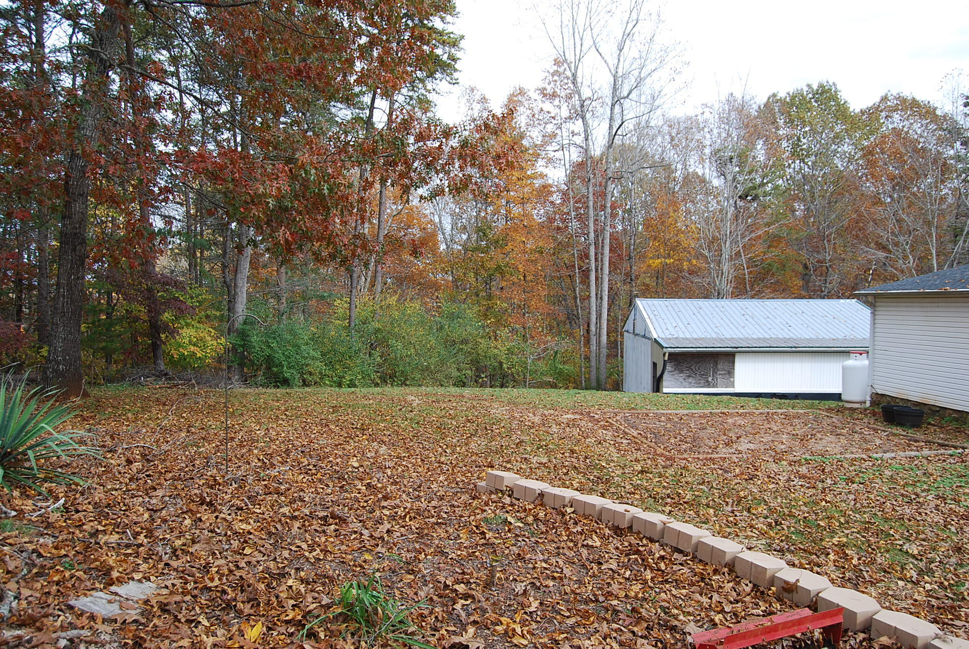 1019 Doe Mountain Road Goodview, VA 24095 - Photo 18 of 53 a view of a yard with plants and trees