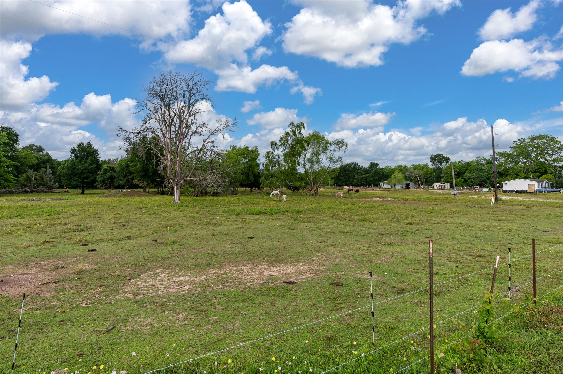 33703 Reynolds Road Fulshear, TX 77441 - Photo 2 of 18