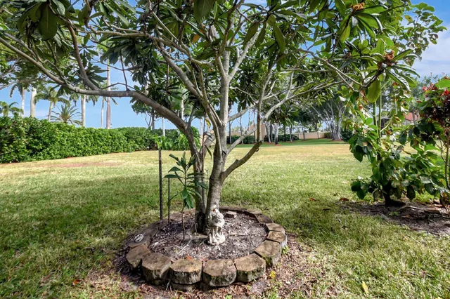 a view of a yard with a trees