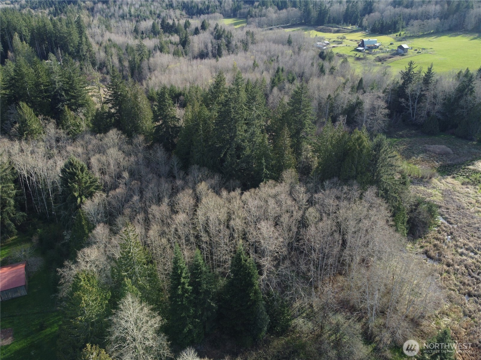 -xxx Embody Road Port Ludlow, WA 98365 - Photo 11 of 26 a view of a yard with a small yard and large tree