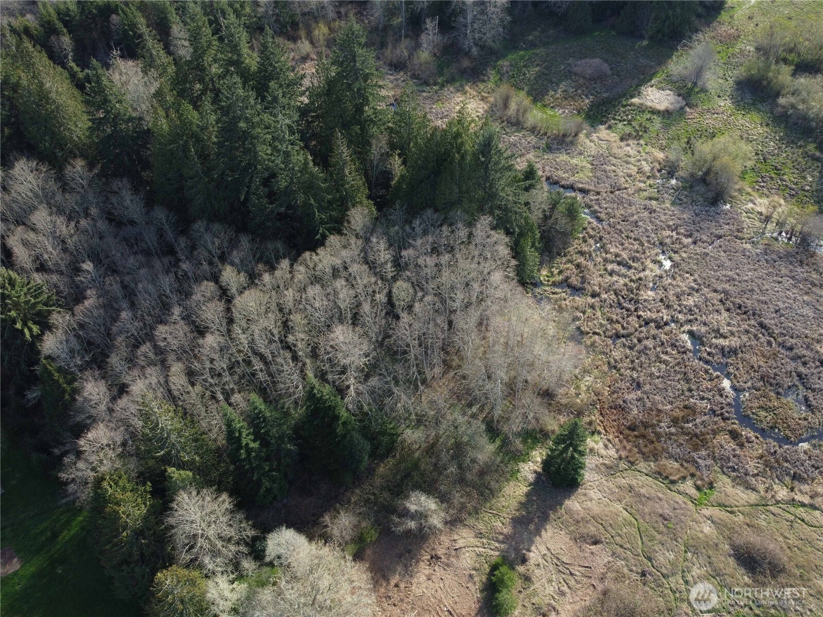 -xxx Embody Road Port Ludlow, WA 98365 - Photo 12 of 26 a view of a yard with plants and a tree