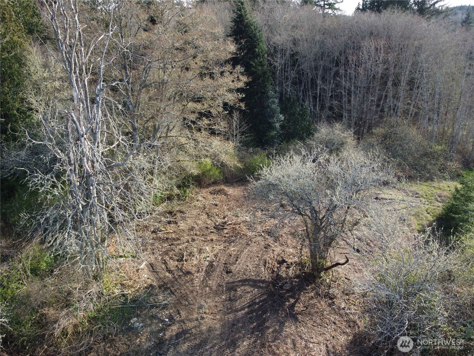 -xxx Embody Road Port Ludlow, WA 98365 - Photo 13 of 26 a view of a forest with trees in the background